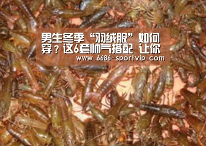
男生冬季“羽绒服”如何穿？这6套帅气搭配 让你轻松打造潮男范_6686足球竞猜