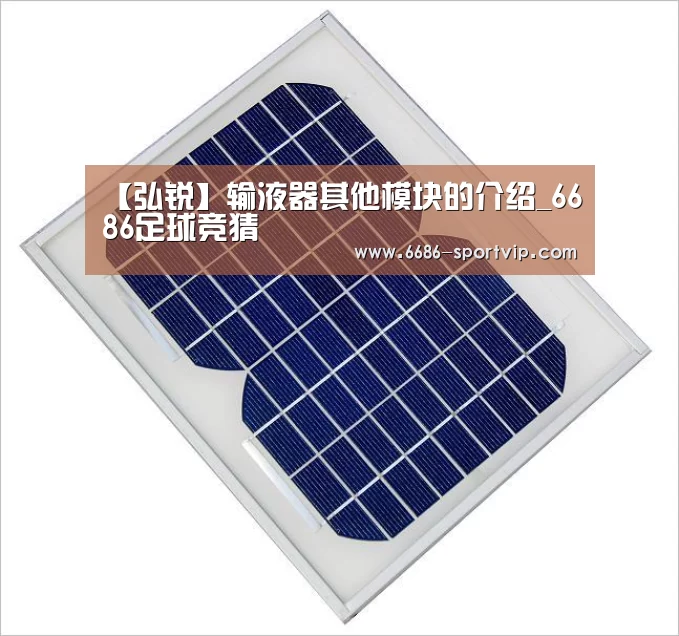 【弘锐】输液器其他模块的介绍_6686足球竞猜