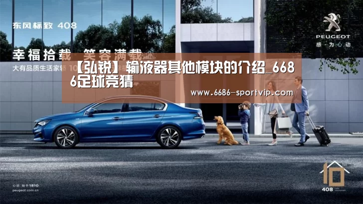 【弘锐】输液器其他模块的介绍_6686足球竞猜(图2) 6686体育